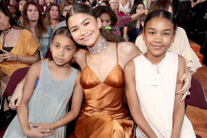 A Closer Look At Zendayas Ethnicity, Parents And Siblings ·