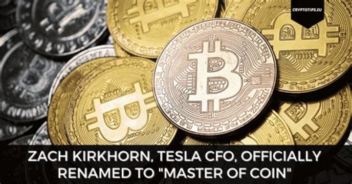 Details on Tesla CFO and Master of Coin