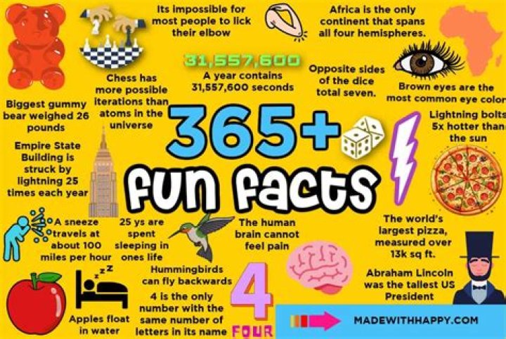 Five Facts To Learn About ·
