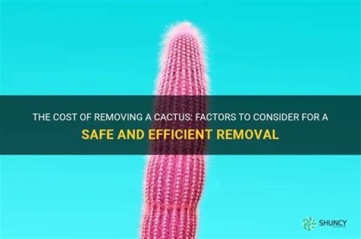 How much does it cost to remove a cactus? ·