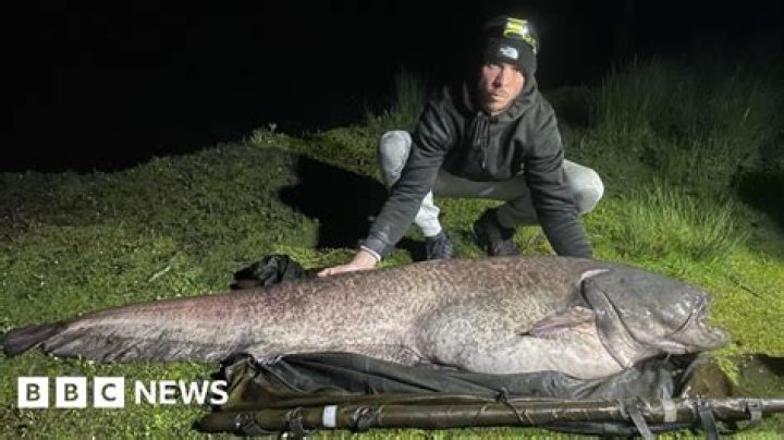 The Biggest Lies They Showed On Catfish ·