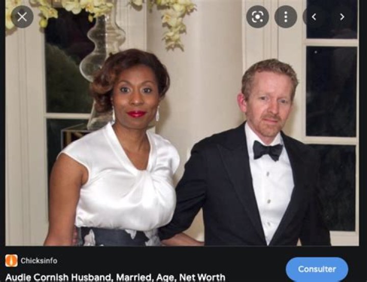 Who Is Audie Cornish Husband? Everything To Know About Theo Emery And Her Family