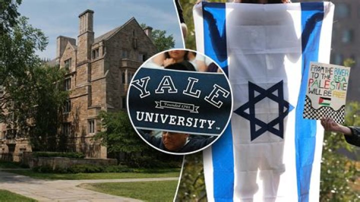 Who is Efe Ercelik? University of Massachusetts student assaulted Jewish student at Israel solidarit ·